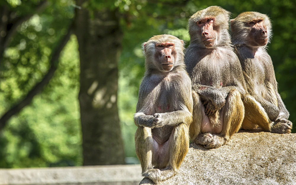 Platz 11 Willi Bitzer